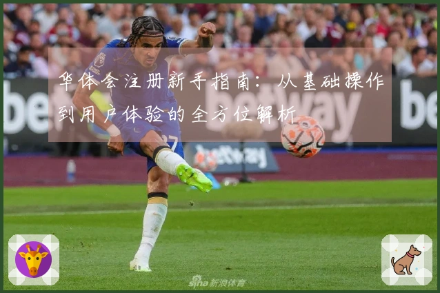 华体会注册新手指南：从基础操作到用户体验的全方位解析