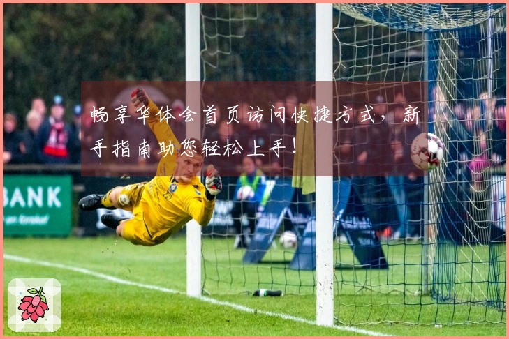 畅享华体会首页访问快捷方式，新手指南助您轻松上手！